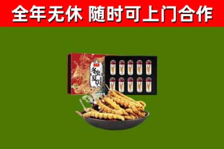 上虞区回收冬虫夏草价格